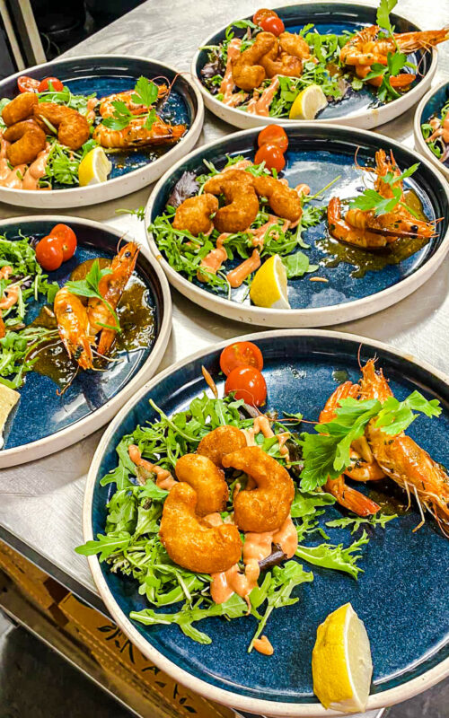 318337085_581480993905786_4270687307306306513_n (1)